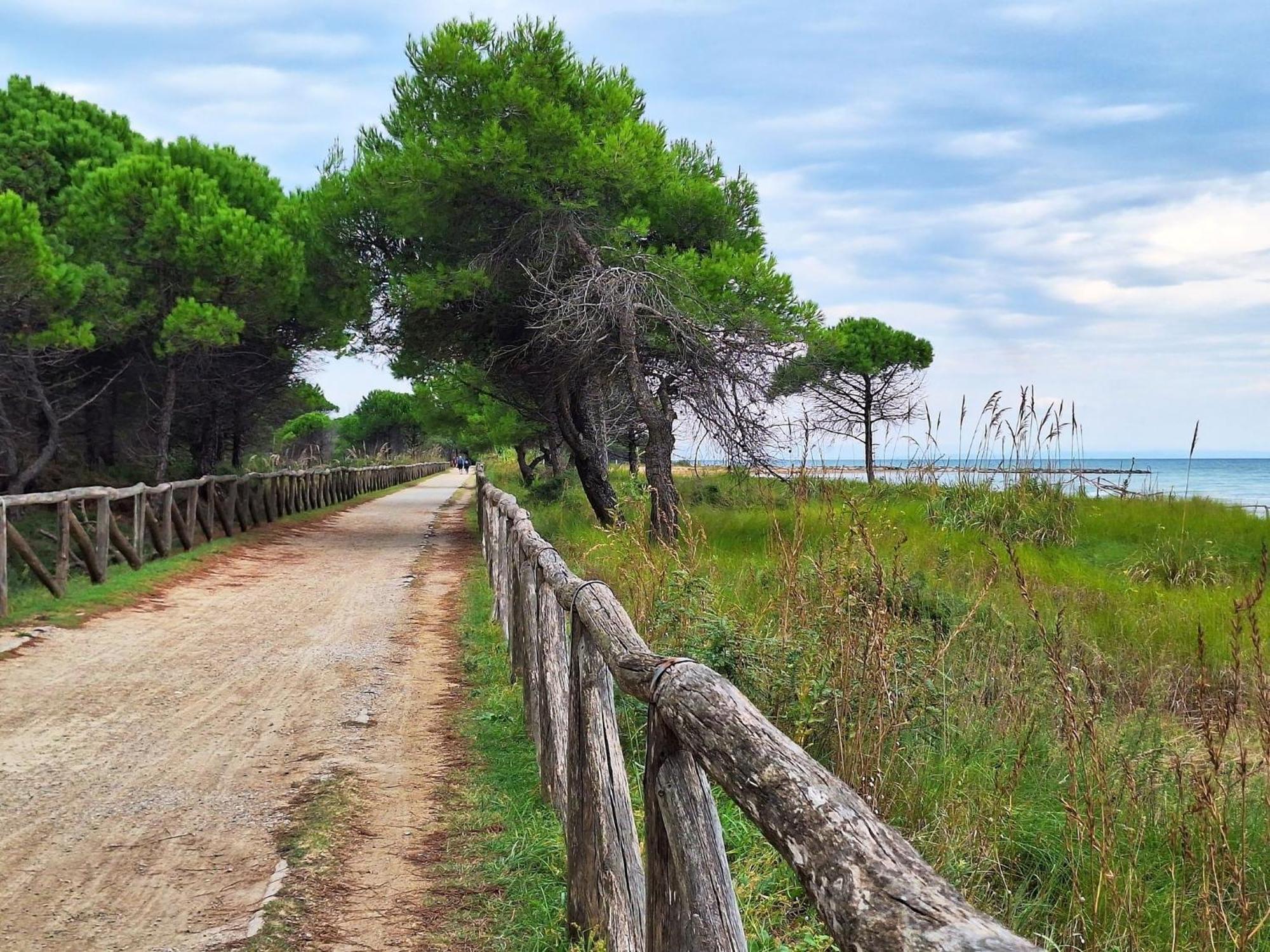 Sunny Garden Retreat Near The Sea Bibione
